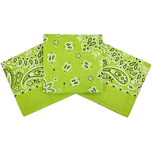 Bandanas for Women and Men，3 Pack Super Soft Thin 60s Preium Cotton 22 inch Handkerchiefs - color: 3 Pack-greenery