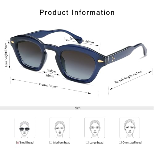 Appassal Small Retro Square Sunglasses for Women Mens Rectangle Sunnies AP3680 - color: Blue/Gradient Blue