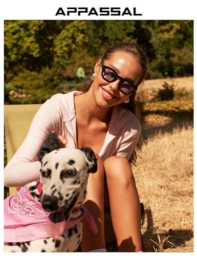 Appassal Small Retro Square Sunglasses for Women Mens Rectangle Sunnies AP3680 - color: Black/Clear Blue