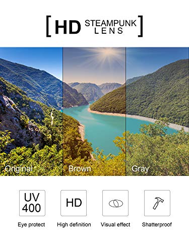 4 Pairs Steampunk Sunglasses Retro Gothic Sunglasses Unisex Vintage Glasses - color: Black Frame Grey Lens, Silver Frame Silver Lens, Gold Frame Brown Lens, Brown Frame Brown Lens