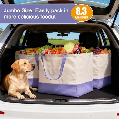 Reusable Grocery Bags Heavy Duty, 8.3 gal Foldable Large Canvas Tote Bag with Handles, Holds 60 lbs Canvas Shopping Bags, 3 Pack（Off White+Light purple） - color: [A1] Off White / Light Purple, size: 3 Pack